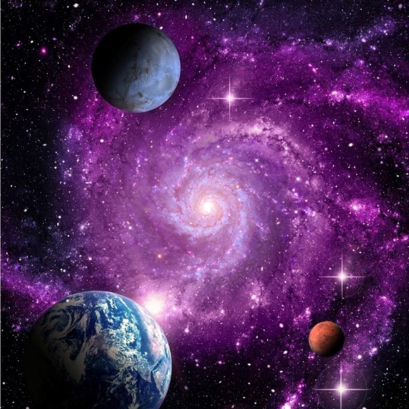 Meet your Posher, Shay - Picture 1 of 7